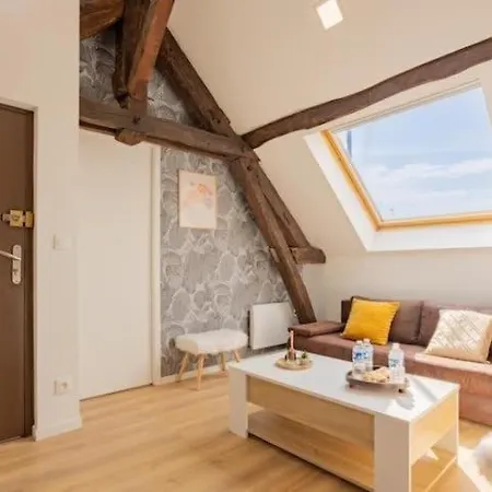 Le Nid Troyen - Gare - Hypercentre - New Cosy - Rent Immo * Troyes