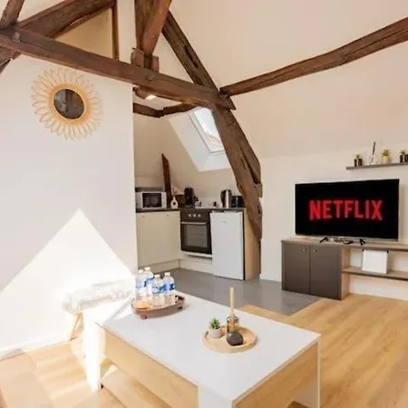 Le Nid Troyen - Gare - Hypercentre - New Cosy - Rent Immo Lägenhet